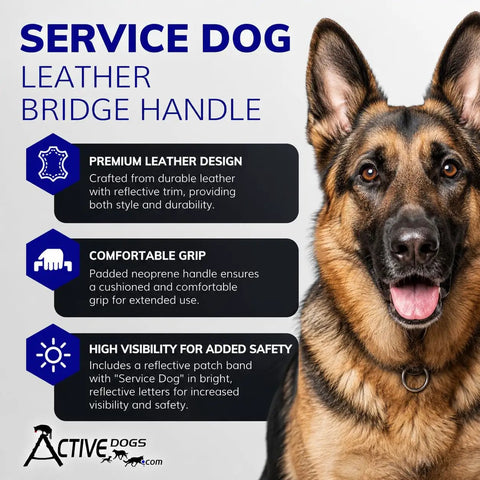 Heavy Duty Leather Bridge Handle For Service Dogs Featuring Solid Steel Core Reflective Trim Ergonomic Dual Ring Harness Compatible 16 Inch Badass Pup Parent Guide Tool