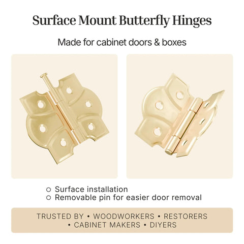 Butterfly Hinges With Removable Pin In Polished Brass, Surface Mount Cabinet Hinges Pack Of 8, 1-3/4 In Wide By 2-3/8 In High