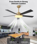 52 Inch Gold And Black Ceiling Fan With Lights And Remote App Indoor Outdoor Smart Fan in modern living room