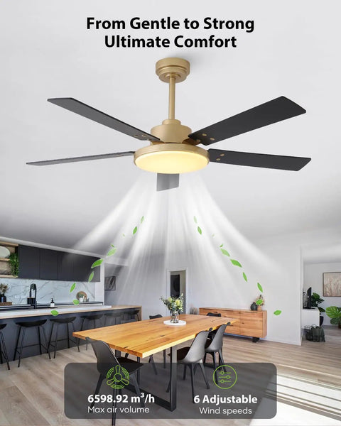 52 Inch Gold And Black Ceiling Fan With Lights And Remote App Indoor Outdoor Smart Fan in modern living room