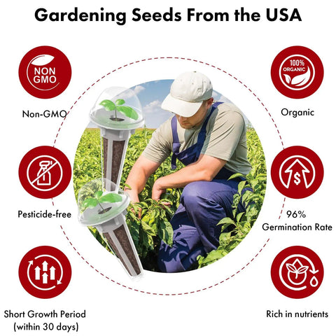 Hydroponic Seed Kit For Strawberry And Tomato Growing Systems With 350 Germinating Seeds Red Cherry Tomato Golden Cherry Tomato