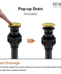 Pop-up drain included with Brushed Gold Centerset Bathroom Faucet 4 Inch 2 Handle 3 Hole Sink Faucet, shown in use.