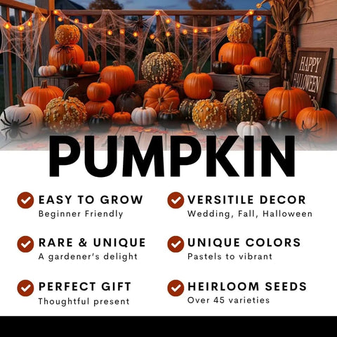 Rainbow Pumpkin Patch Seeding Kit With 20 Mixed Seeds for indoor outdoor garden, showcasing assorted pumpkins and decorations.