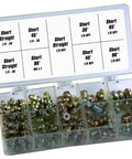 Deluxe Grease Fitting Assortment Kit 100 Piece Set With 1/8 Inch And 1/4 Inch Fittings Includes Straight And Angled Configurations In Transparent Storage Box showing various fittings and their labels.