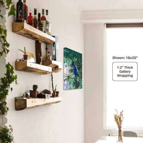 16x20 wall art featuring a peacock in foliage with 1.2-inch thick gallery wrapping in a modern living space with wooden shelves