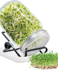 All In One Sprouting Kit With 1000ml Glass Jar, Filter Lid, Adjustable Bracket, And Drip Tray For Growing Bean Sprouts, Alfalfa, Mung Beans, And Peas At Home
