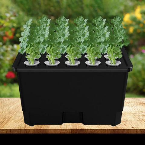 Hydroponic Growing Box For Home And Small Farm Soilless Cultivation System With 15 Pod Kit ABS Construction on a table.