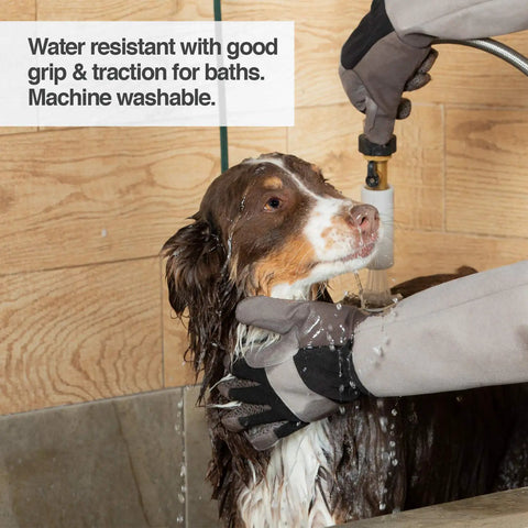 Multipurpose Pet Grooming Glove For Dogs And Cats Water Resistant And Puncture Scratch Resistant used during dog bath