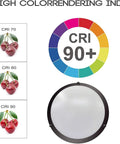 LED Double Ring Flush Mount Ceiling Light Twin Pack With 5CCT Selectable 2700K-5000K, CRI 90+ demonstration with cherries