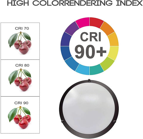 LED Double Ring Flush Mount Ceiling Light Twin Pack With 5CCT Selectable 2700K-5000K, CRI 90+ demonstration with cherries