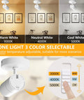 Three Color Temperature Dimmable Ceiling Spotlight Kit With Adjustable Directional LED Lights 20W 2000 Lumen mood settings