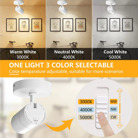 Three Color Temperature Dimmable Ceiling Spotlight Kit With Adjustable Directional LED Lights 20W 2000 Lumen mood settings