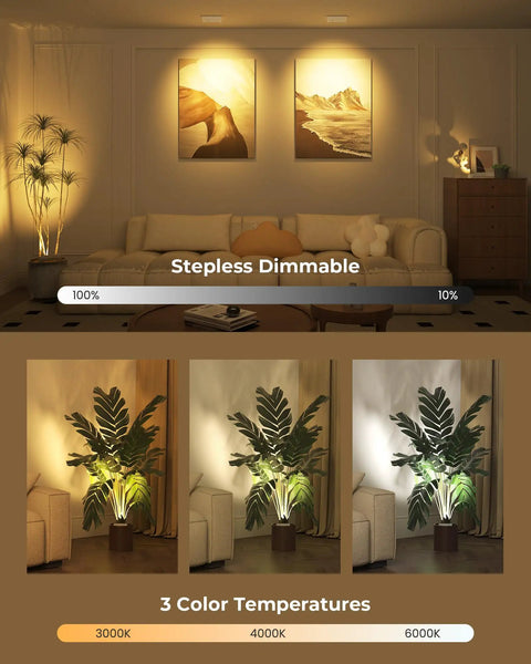 Rechargeable Indoor LED Spotlight Kit With Smart Auto Timer 5500mAh Battery 3 CCT Dimmable Uplights showing dimmable settings and color temperatures