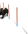 Dog navigating Lightweight Dog Agility Slalom Kit With Carry Bag For Backyard Training And Fun, Great For All Breeds And Life Stages.