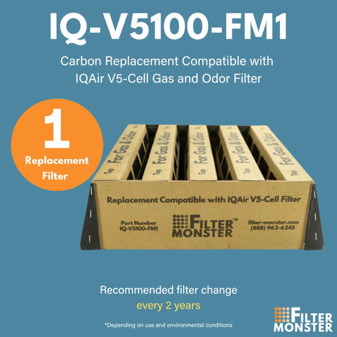 Replacement Air Filter Bundle For IQAir HealthPro Series V5-Cell Gas And Odor Filter packaging with filter details.