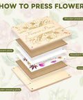 Diagram of 11x11 Inch Dope Extra Large Flower Press Kit with 10 wooden layers, showing components like wooden pressing plate and absorbent paper.