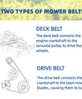 Diagram showing deck and drive belt for lawn mowers, explaining how they connect crankshaft to wheels and blades.