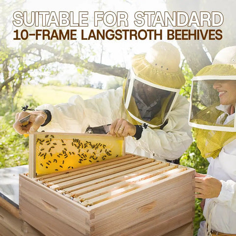 Beekeepers inspecting 10 Frame Langstroth Beehive Super Box With Frames And Waxed Foundations Cedar Wood Beekeeping Kit outdoors.