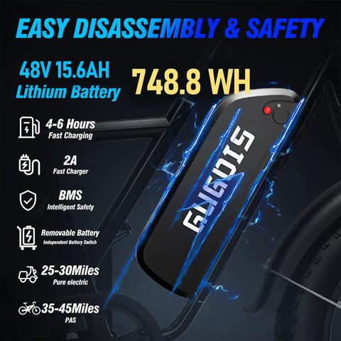 Two Seater Fat Tire Electric Bike With 1000W Peak Motor Up To 60 Mile Range Large Removable Battery 20 Inch All Terrain E Bike For City Commutes And Weekend Rides, 48V 15.6Ah battery