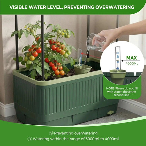 Self Watering Tomato Planter With Trellis And Water Level Indicator in use with ripe tomatoes in large rectangular cage indoors