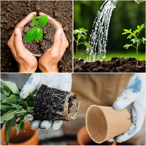 Biodegradable Seed Starter Pots 3.15 Inch Round Nursery Pots With Drainage Holes 50 Pack for indoor germination and seedling transplanting.