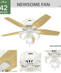 Indoor Low Profile Ceiling Fan With Dope LED Light And Pull Chain, 42 Inch, Whisper Wind Motor, Classic White Glass Light Cover