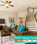 Living room with 8 Pack E12 Ceiling Fan Light Bulbs 60W Equivalent LED A15 4000K Natural Daylight Small Base Candelabra Bulbs installed