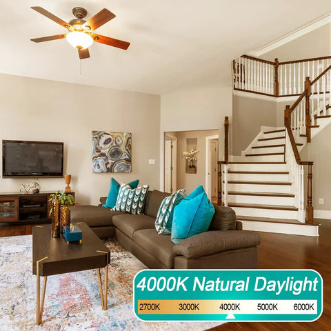 Living room with 8 Pack E12 Ceiling Fan Light Bulbs 60W Equivalent LED A15 4000K Natural Daylight Small Base Candelabra Bulbs installed