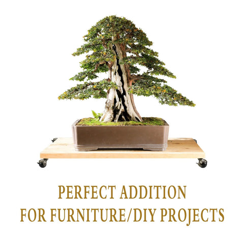 Bonsai tree on wood platform with 2 Inch Antique Brass Caster Wheels With Brake Set Of 4 For Furniture And DIY Projects