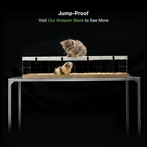 Solid Jump Proof Small Pet Cage Top Cover Mesh Canopy For Guinea Pigs And Rabbits 48 By 24 Inch on table with cat and guinea pig.