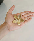 8 Pack 2.4 Inch Brushed Gold Flower Cabinet Knobs With Three Screw Sizes, Vintage Floral Drawer Pulls, held in hand view.