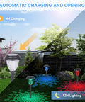 8 Pack Solar Pathway Lights With Warm White And 7 Color Changing Modes illuminating a garden with multicolor projections.