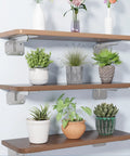 Heavy Duty Stainless Steel L Shaped Shelf Bracket Wall Mounted Brushed Finish Rock Solid Construction supports plants on floating shelves.