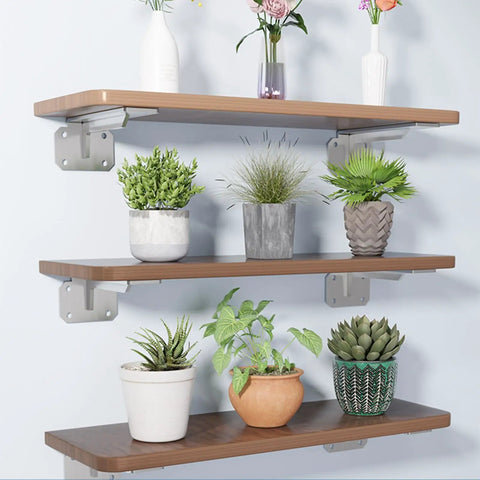 Heavy Duty Stainless Steel L Shaped Shelf Bracket Wall Mounted Brushed Finish Rock Solid Construction supports plants on floating shelves.