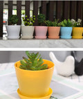 16 Pack 4 Inch Plastic Flower Pots Thickened Seedling Nursery Pots With Pallet Included Available In 8 Colors for indoor use