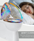 Toilet Seat Resin for Bathroom, 14.5" x 18.5", colorful design, features quiet closing for noise reduction.