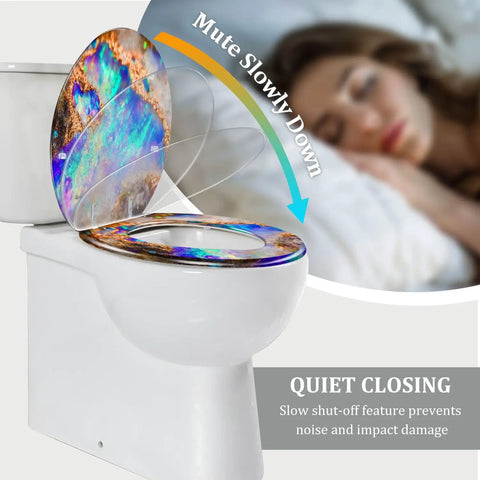 Toilet Seat Resin for Bathroom, 14.5" x 18.5", colorful design, features quiet closing for noise reduction.