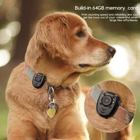 Dog wearing 64GB Body Cam For Patrol And Everyday Use 1080P Night Vision Wearable Camera with 6 Hour Battery Life
