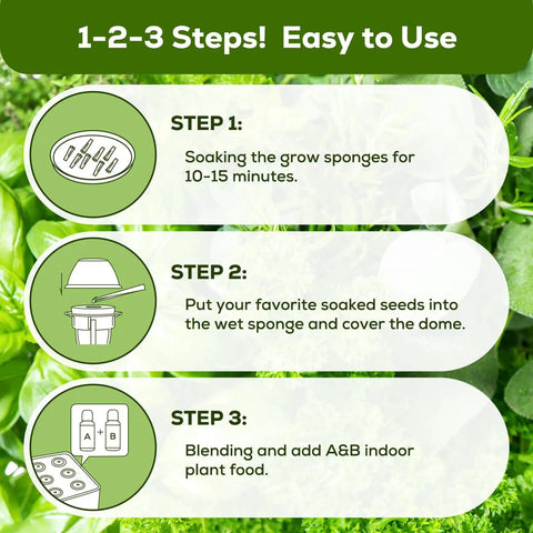12 Pod Gourmet Herb Seed Kit For Indoor Hydroponics Easy To Grow Illustrated 3-Step Instructions on Green Background