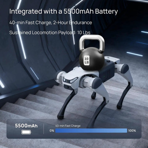 Lite 3 Basic AI Quadruped Robot Platform For Robotics Developers And Researchers Featuring Dope Mobility And AI Driven Motion Control For Algorithm Testing And Real World Robotic Application Development, white quadruped with 10 lb kettlebell