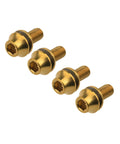 Built Different Aerospace Grade Titanium M5x12mm Bottle Cage Bolts For Bicycle Cycling With Washers set of four bolts in gold finish