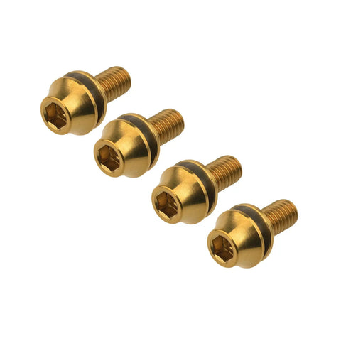 Built Different Aerospace Grade Titanium M5x12mm Bottle Cage Bolts For Bicycle Cycling With Washers set of four bolts in gold finish