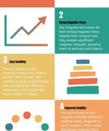Infographic '5 Reasons You Should Use Disc Magnets' highlighting versatility, strong force, easy handling, stability, and durability.