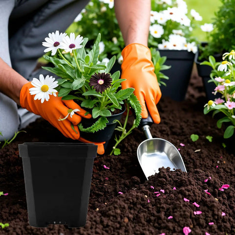 Gardener using 60 Pcs Square Nursery Pots 3 Inch Deep Plastic Seed Starter Germination Pots For Plants Succulents And Flowers