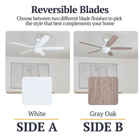 Ashby Modern 52 Inch Ceiling Fan With Light And Remote LED Indoor Fan showing reversible white and gray oak blades