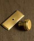Brushed Gold Cabinet Knobs With Backplates, Zinc Alloy Kitchen Hardware. Single knob and backplate on wooden surface.