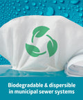 On-The-Go Travel Size Flushable Wipes Unscented With Aloe Biodegradable Wet Wipes next to water and green recycle icon.