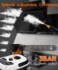 Badass Steam Cleaner For Home Use 2500W Portable Handheld Steamer showing adjustable steam output with six settings.