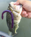 Durable Silicone Wacky Rig O Rings For 4 To 5 Inch Senko Worms Elastic Rings That Prevent Tears Keeps Baits Secure And Let Soft Plastics Fall Naturally Includes 100 Rings And Tackle Box Storage For Easy Fishing Setup on wacky rigged Senko worm