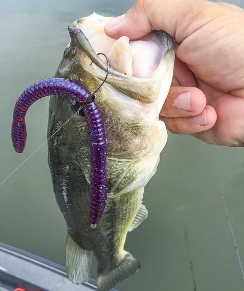 Durable Silicone Wacky Rig O Rings For 4 To 5 Inch Senko Worms Elastic Rings That Prevent Tears Keeps Baits Secure And Let Soft Plastics Fall Naturally Includes 100 Rings And Tackle Box Storage For Easy Fishing Setup on wacky rigged Senko worm